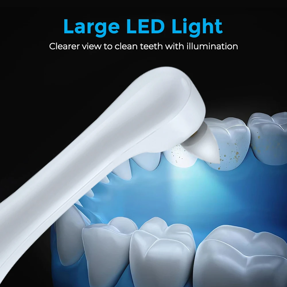 電動歯磨き器歯のホワイトニングクリーナー 6 ブラシヘッド  - Teeth Whitening Kit のレビューと価格
