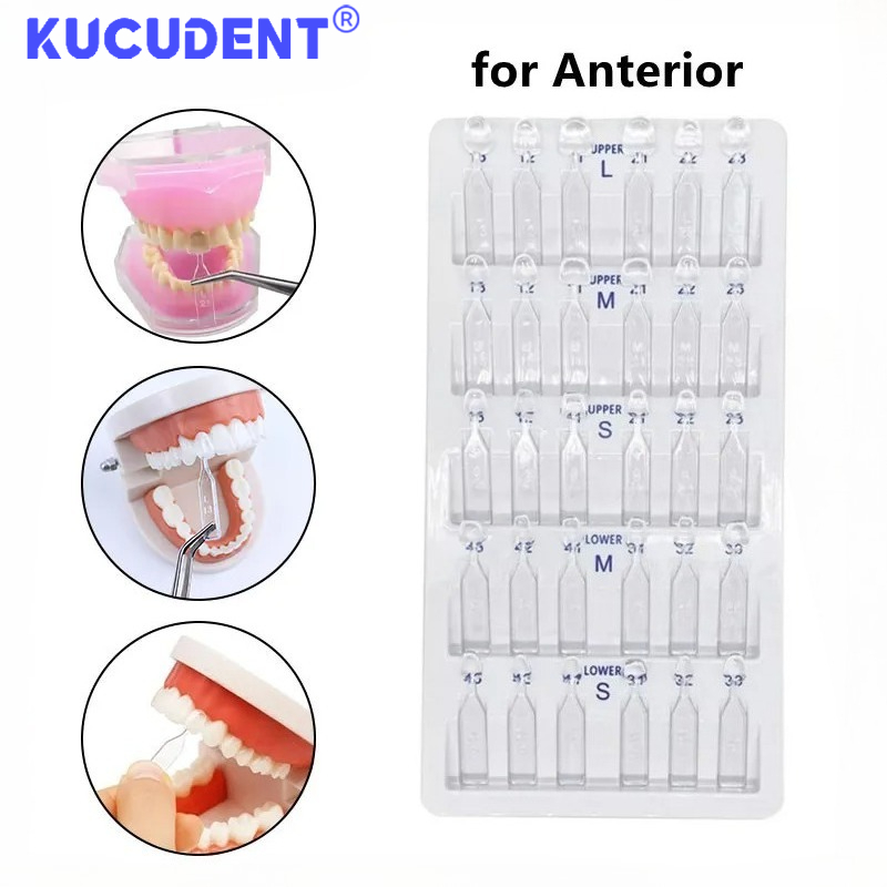 30個入り／セット　歯科用ベニア成形用型　前歯用　コンポジッ - Teeth Whitening Moulds のレビューと価格