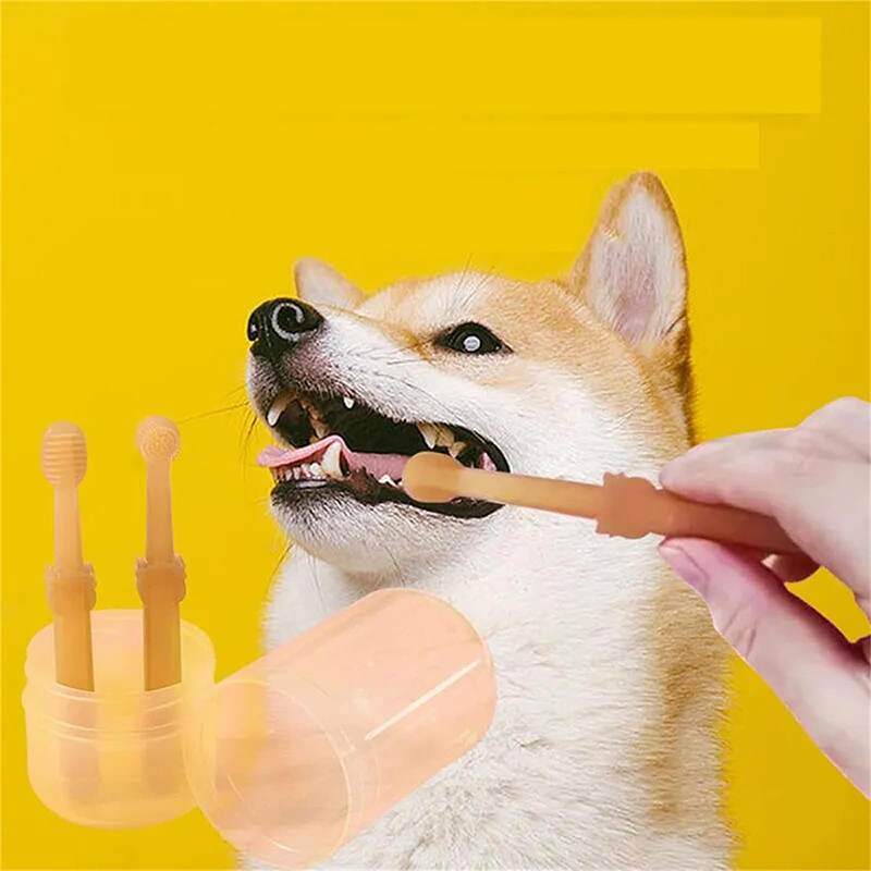 歯のホワイトニング犬猫用シリコンソフト歯ブラシオーラルケア子 - Teeth Whitening Kit のレビューと価格