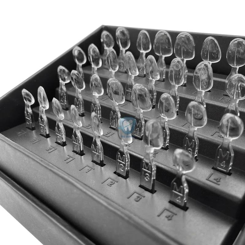 32 ピース/セット歯科ベニヤ金型キット複合樹脂金型光硬化オ - Teeth Whitening Moulds のレビューと価格